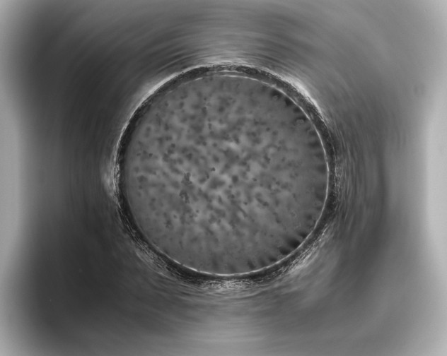 X0000096480879200801241442