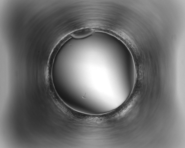 X0000096480880200801241442