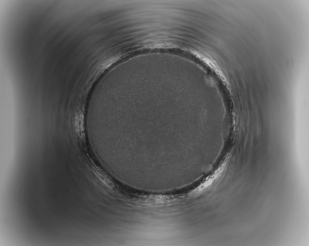 X0000096480881200801241442