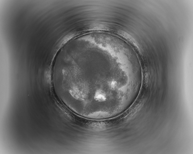 X0000096480882200801241442