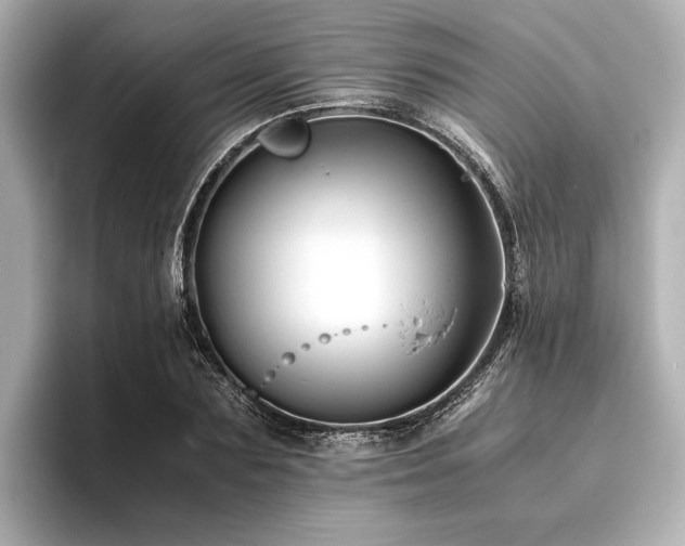 X0000096480883200801241442