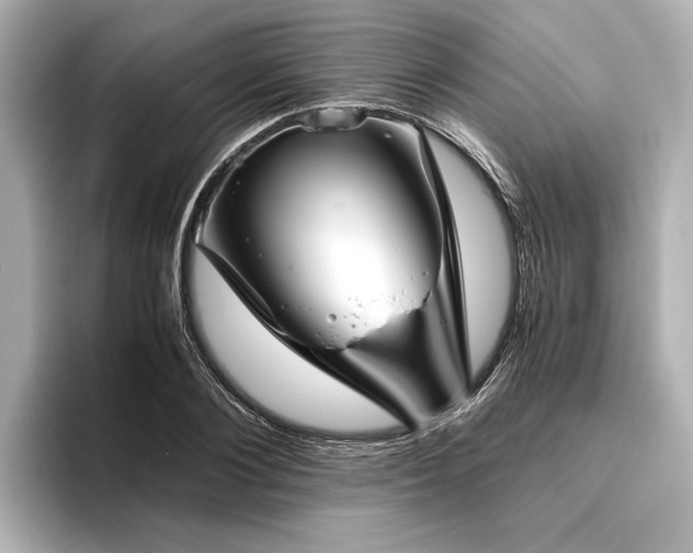 X0000096480884200801241442