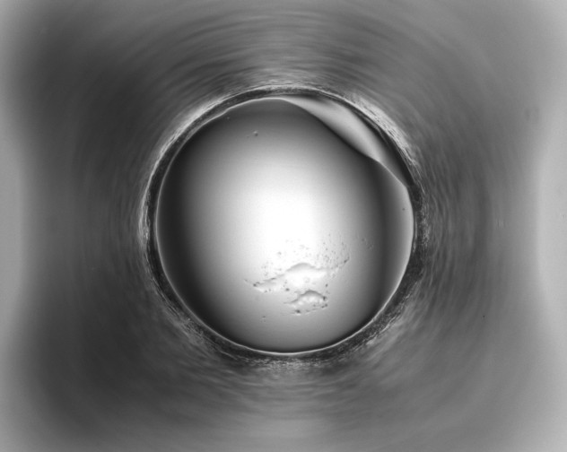 X0000096480885200801241442