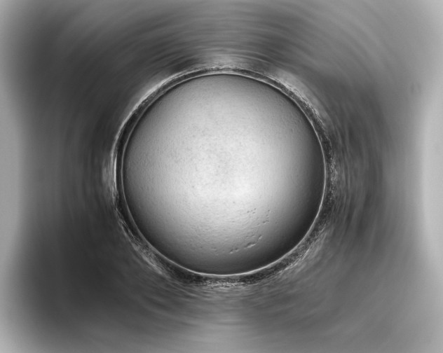 X0000096480886200801241442