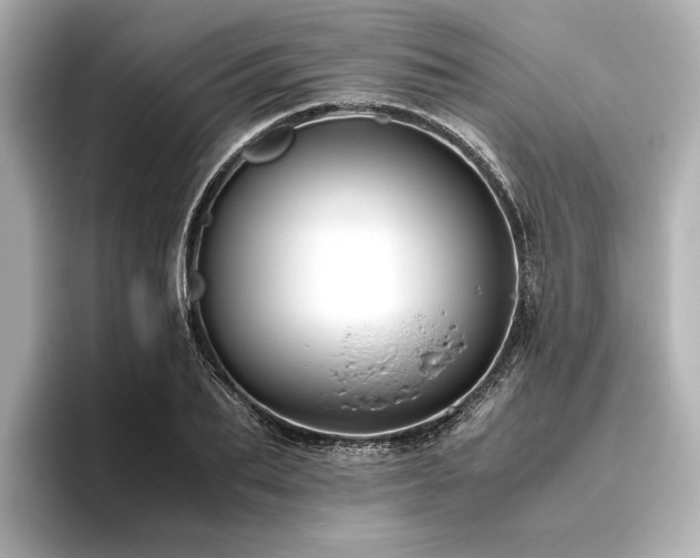 X0000096480887200801241442