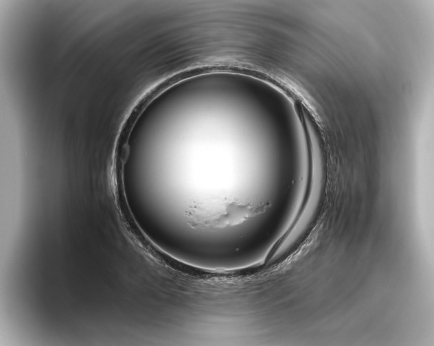 X0000096480888200801241442