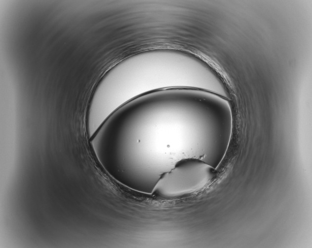 X0000096480889200801241442