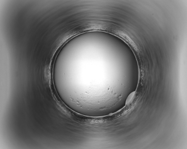 X0000096480890200801241442