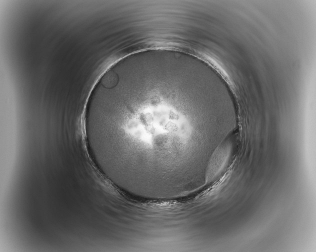 X0000096480891200801241442