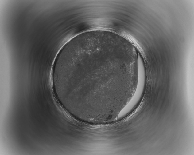 X0000096480892200801241442