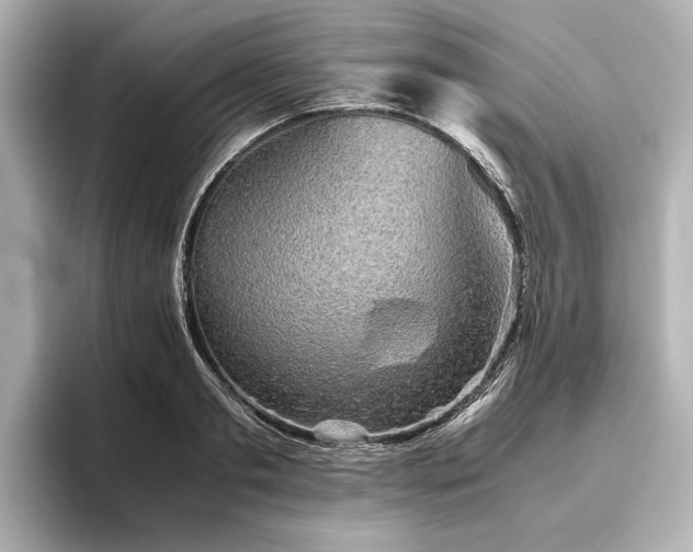 X0000096480893200801241442