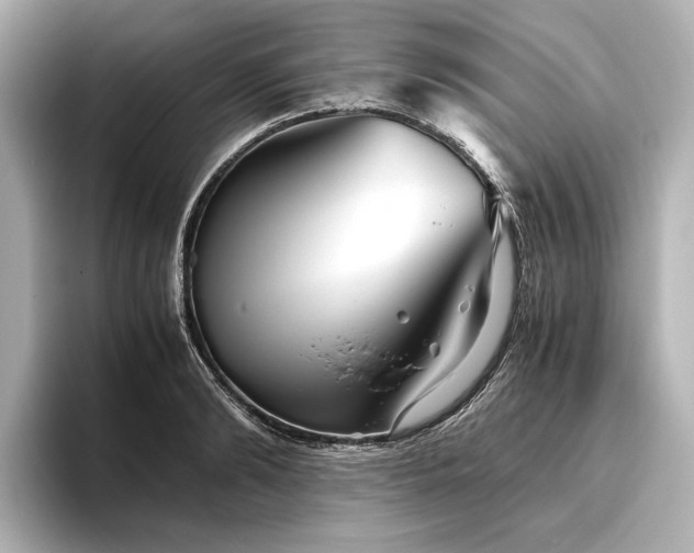 X0000096480894200801241442