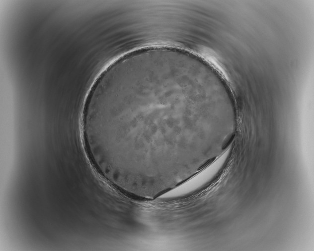 X0000096480895200801241442