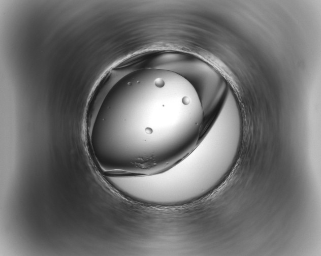 X0000096480896200801241442