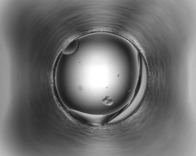 X0000096480898200801241442