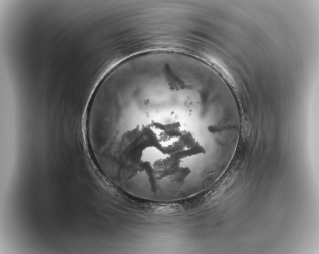 X0000096480899200801241442