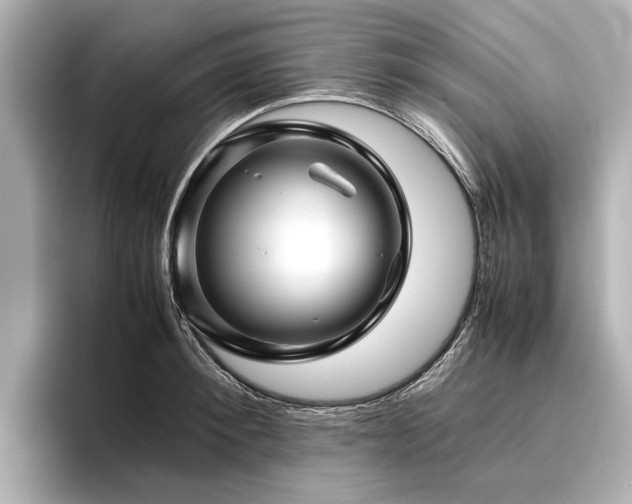 X0000096480900200801241442