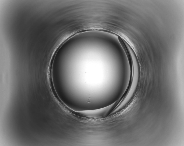 X0000096480901200801241442