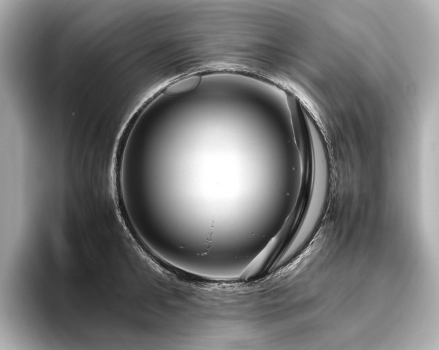 X0000096480902200801241442