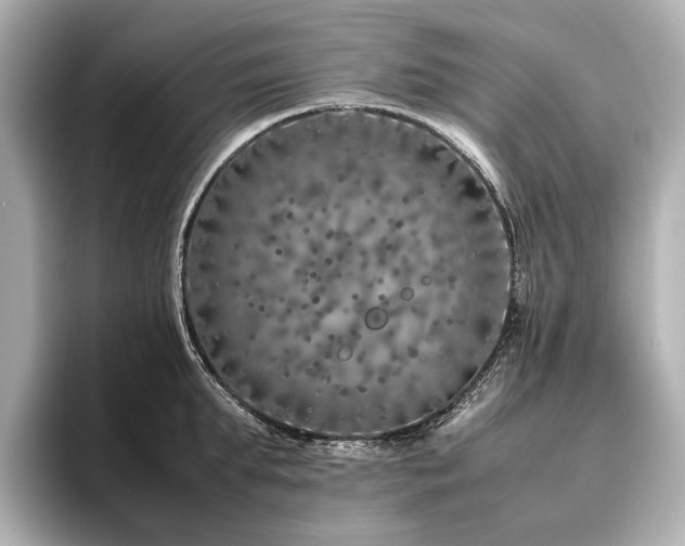 X0000096480903200801241442