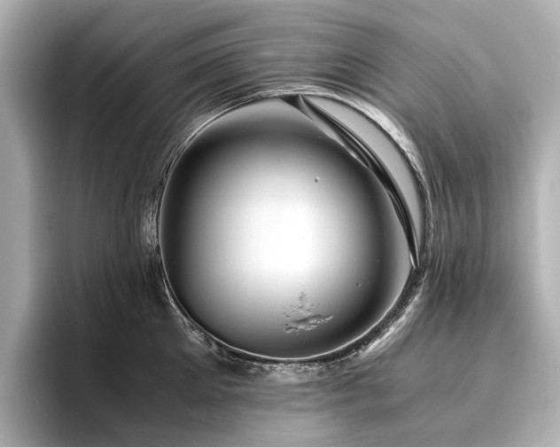 X0000096480905200801241442