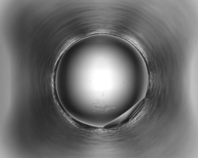 X0000096480906200801241442