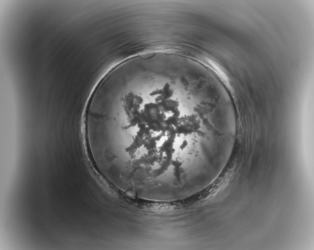 X0000096480907200801241442