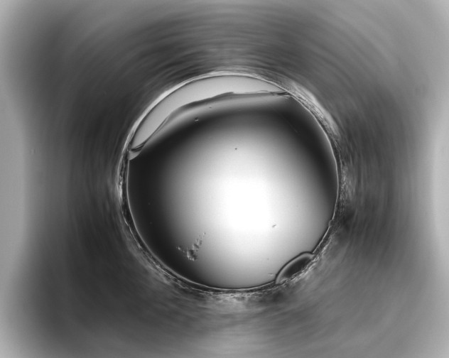 X0000096480908200801241442