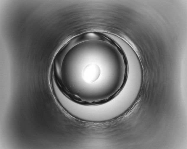 X0000096480909200801241442