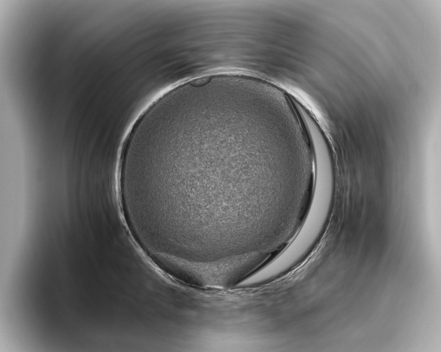 X0000096480910200801241442