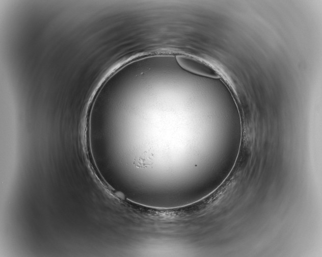 X0000096480911200801241442