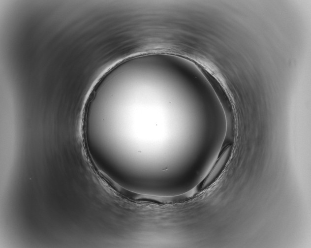 X0000096480912200801241442