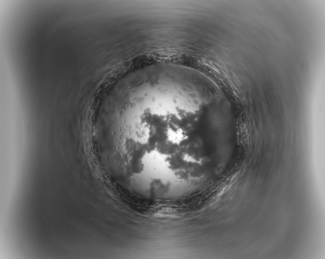 X0000096480913200801241441