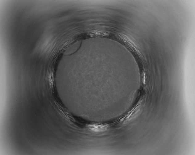 X0000096480915200801241441