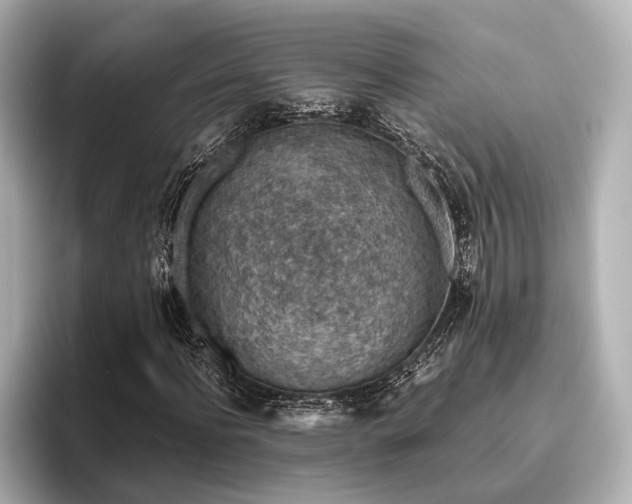 X0000096480916200801241441