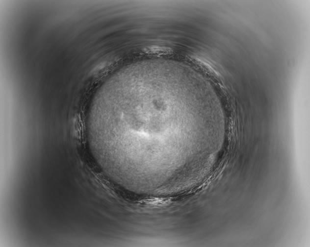 X0000096480917200801241441