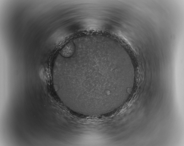 X0000096480918200801241441