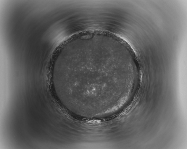 X0000096480919200801241441