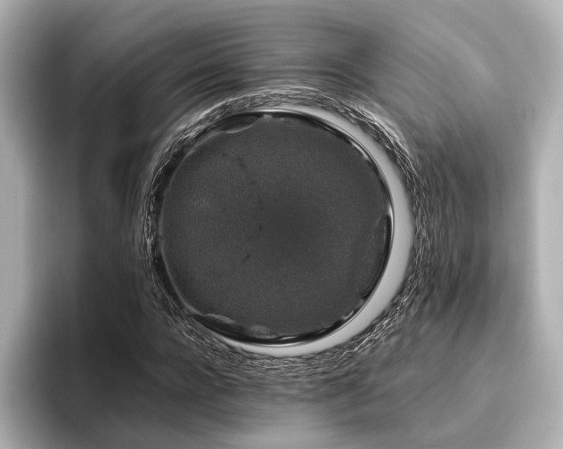 X0000096480920200801241441