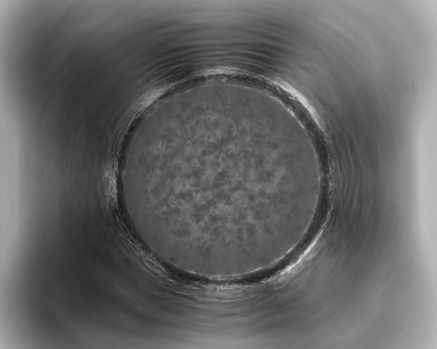 X0000096480921200801241441