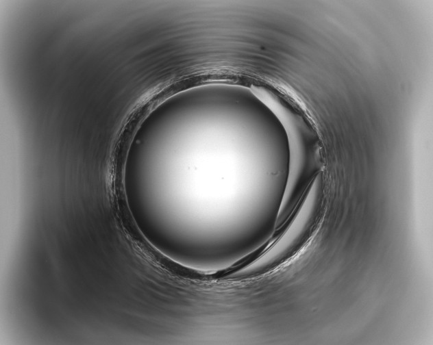 X0000096480922200801241441