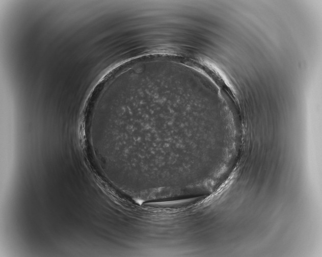 X0000096480923200801241441