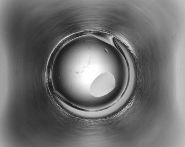 X0000096480924200801241441