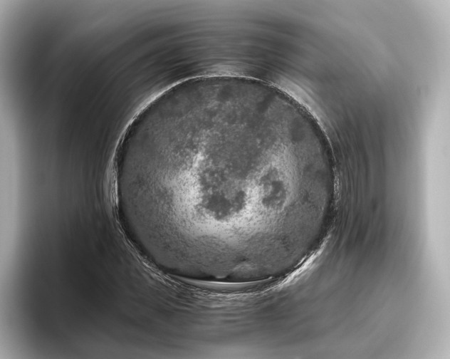 X0000096480925200801241441