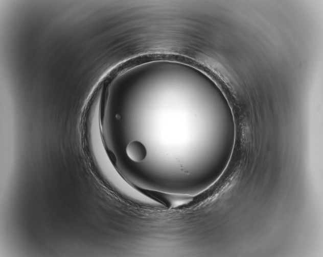 X0000096480926200801241441