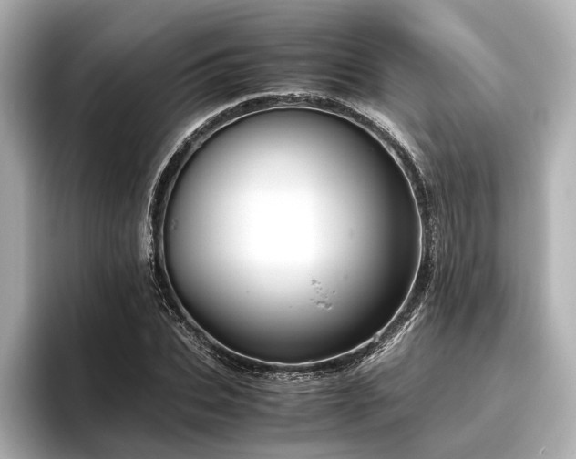 X0000096480927200801241441