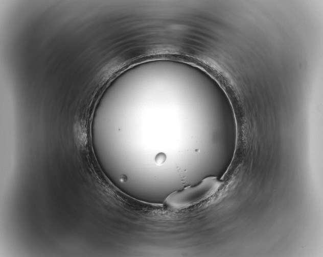 X0000096480929200801241441