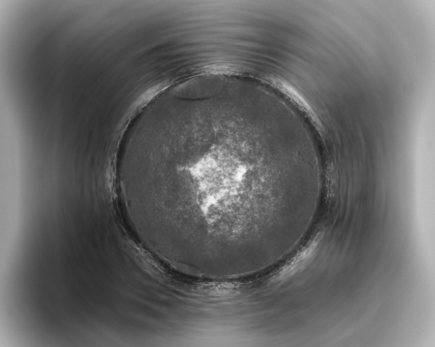 X0000096480930200801241441