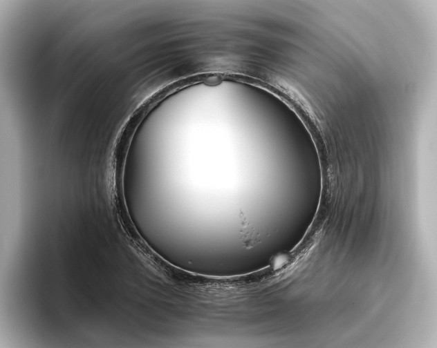 X0000096480931200801241441