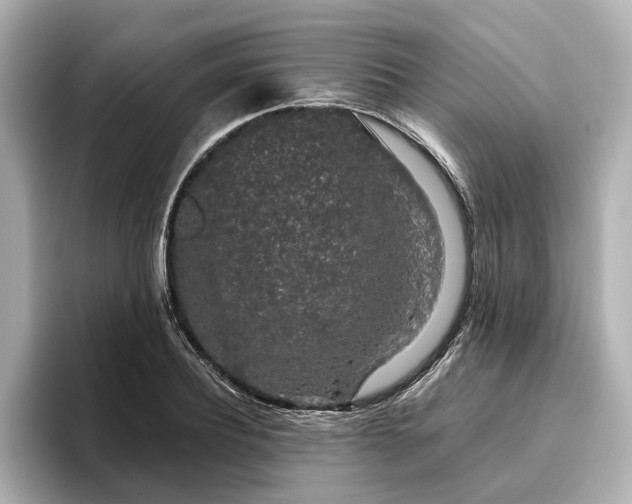 X0000096480932200801241441